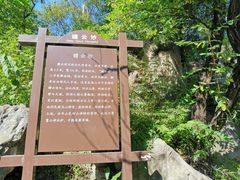 -阳台山自然风景区