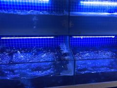 -鑫郭氏·南昌20年大排档(红谷滩旗舰店)