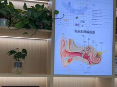 -自然之声助听器·呼吸机(康桥旗舰店)