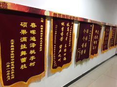 -舞蕾舞蹈(特长生校区)