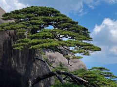 -黄山风景区