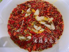 -辛香汇·现炒川菜(淮海路百盛店)