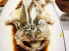 清蒸鲈鱼-凯鸽酒楼(操场城店)