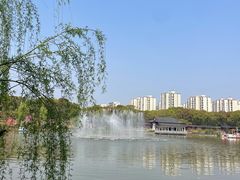 -南汇桃花村