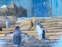 -海合安青岛极地海洋公园