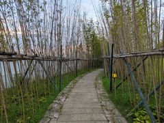 -江心屿景区