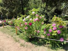 -国家植物园南园