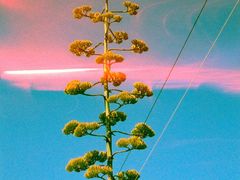 -成都七中(林荫校区)