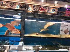 -盒马鲜生(曜一城店)
