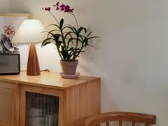 -本無咖啡·BeanWood Coffee