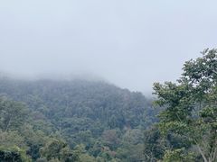 -野象谷景区