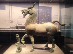 -广西壮族自治区博物馆