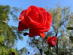 -人民公园(罗湖区)