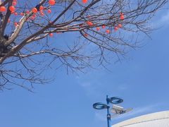 -华夏文旅西安度假区