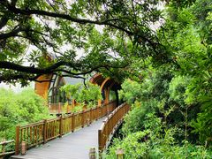 -杭州开元森泊度假乐园