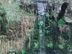-杭州黄龙洞