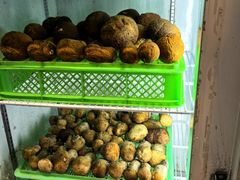 -山菌美食苑(振兴路店)