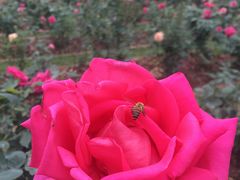 -人民公园(罗湖区)