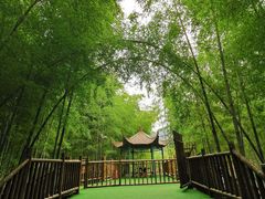 -陶祖圣境风景区