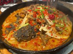 -老板恋上鱼(印象城店)