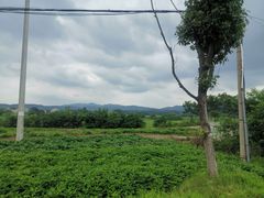 -木兰水镇旅游景区