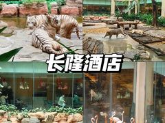-广州长隆旅游度假区