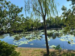 -无锡蠡湖国家湿地公园-蠡园