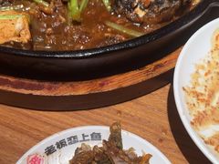 -老板恋上鱼(恒隆广场店)