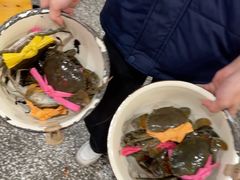 -辣螃铠盆盆蟹大排档(总店)