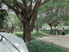 -南国桃园旅游度假区