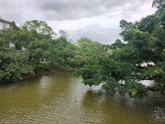 -江心屿景区