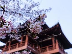 -西安青龙寺遗址景区