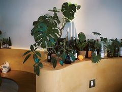 -fishtank鱼缸咖啡(三山街店)