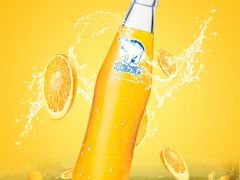 北冰洋汽水-百年义利(幸福大街店)