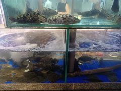 -乔家小院•非遗驴肉•本地小海鲜(滨河路店)