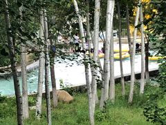 -十渡高山漂流