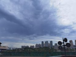 -恐龙探索乐园(磁器口店)