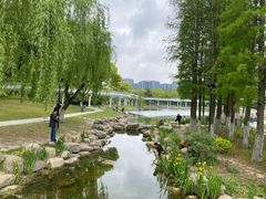 -昆山城市公园
