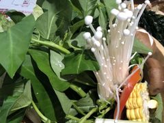 蔬菜拼盘-德香苑脆皮烤鸭·经典(爱融荟城店)