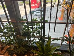 -柴门头啖汤·经典川菜·慢火汤品(锦城万达店)