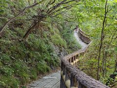 -圣莲山风景区