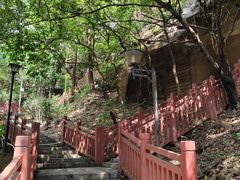 -南国桃园旅游度假区