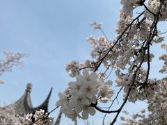 -苏州上方山国家森林公园