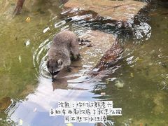 -长鹿旅游休博园