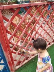 -萌宠亲子动物乐园(槐房万达店)