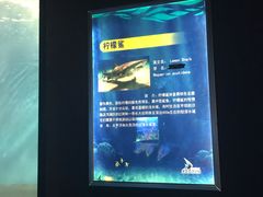 -北戴河圣蓝海洋公园