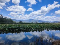 -野鸭湖国家湿地公园