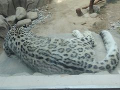 -青藏高原野生动物园
