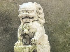 -白水寺森林公园