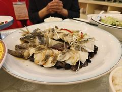 -博雅渔港·融合菜(维也纳国际大酒店)